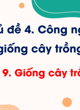 CN Trồng trọt - Bài 9. Giống cây trồng